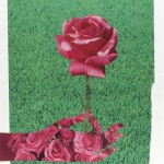 Mudra: Pink Roses (Collage)