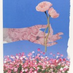 Mudra: Poppies, Cosmos (Collage)